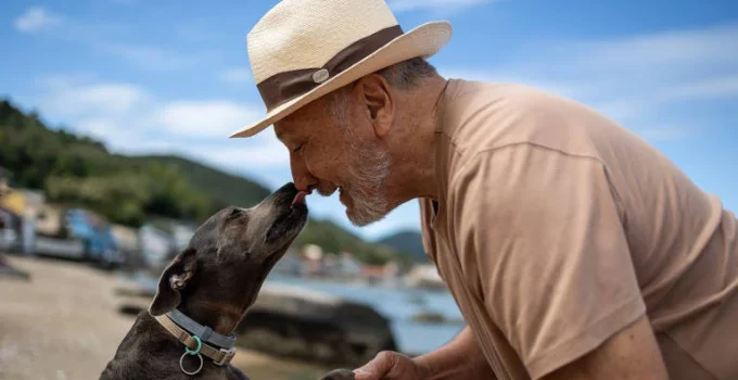 Pets: Companhia e Atividade para a Terceira Idade, mas com Responsabilidade Pets: Companhia e Atividade para a Terceira Idade, mas com Responsabilidade
