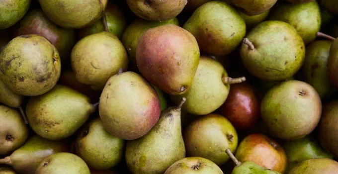 Alimentação Jovem: Descubra os Segredos da Dieta para uma Pele Radiante