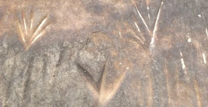 A Força das Histórias: Da Caverna à Cooperação Humana