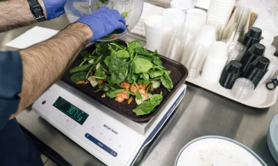 Alimentos ultraprocessados: entre o pânico e a ciência, um debate em ebulição