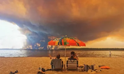 Cientistas pedem que crise climática seja declarada emergência de saúde global