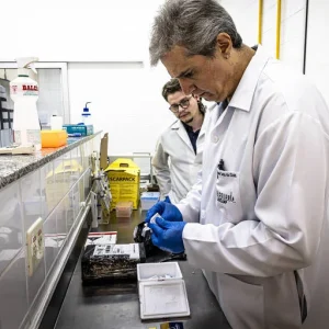 Anvisa amplia acesso a tratamentos contra obesidade e diabetes com aprovação de 5 novas canetas injetáveis