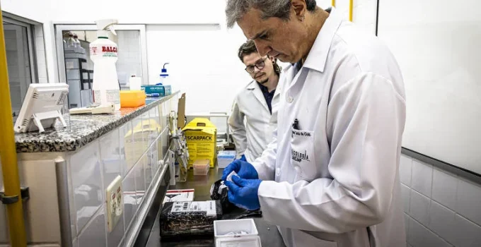 Anvisa amplia acesso a tratamentos contra obesidade e diabetes com aprovação de 5 novas canetas injetáveis