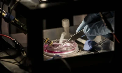UFRJ Inova em Importação e Alivia Crise de Insumos para Pesquisa Científica no Brasil