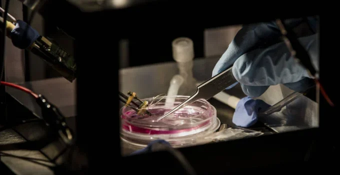 UFRJ Inova em Importação e Alivia Crise de Insumos para Pesquisa Científica no Brasil