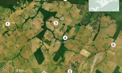 Descoberta Histórica: 350 km de Estradas Pré-Colombianas Revelam Civilização Avançada no Acre