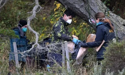 Argentina em Busca de Roedores: Mistério do Hantavírus em Cruzeiro Continua Sem Respostas em Mendoza