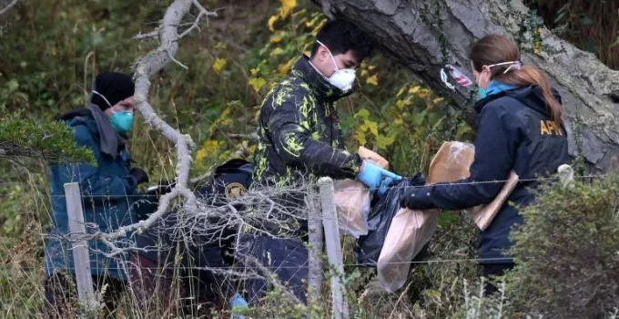 Argentina em Busca de Roedores: Mistério do Hantavírus em Cruzeiro Continua Sem Respostas em Mendoza