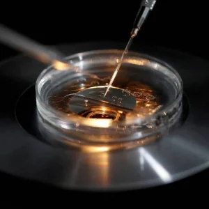 Edição Genética em Embriões: Avanço Médico Promissor ou Porta Aberta para Bebês Sob Medida e Eugênia?