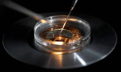 Edição Genética em Embriões: Avanço Médico Promissor ou Porta Aberta para Bebês Sob Medida e Eugênia?