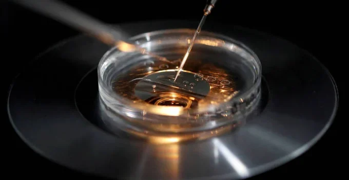 Edição Genética em Embriões: Avanço Médico Promissor ou Porta Aberta para Bebês Sob Medida e Eugênia?