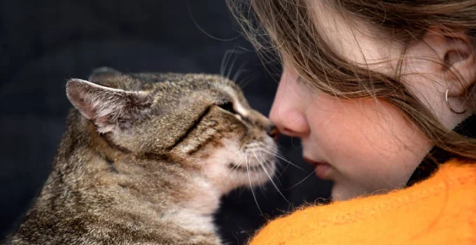 Gatos em Casa Não Pioram Asma em Crianças, Revela Estudo Sueco Surpreendente Gatos em Casa Não Pioram Asma em Crianças, Revela Estudo Sueco Surpreendente