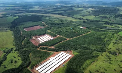 Paraná Acelera Industrialização no Interior com Nova Usina de Aves da Lar Cooperativa e Investimento Bilionário