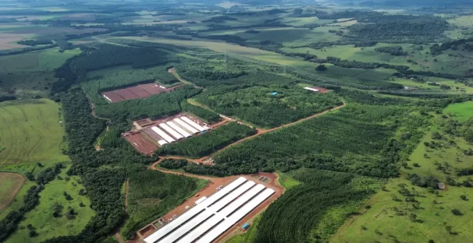 Paraná Acelera Industrialização no Interior com Nova Usina de Aves da Lar Cooperativa e Investimento Bilionário