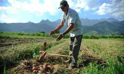 El Niño Poderoso se Aproxima: Agro e Cidades em Alerta com Potencial de Impacto Histórico