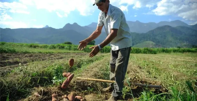 El Niño Poderoso se Aproxima: Agro e Cidades em Alerta com Potencial de Impacto Histórico
