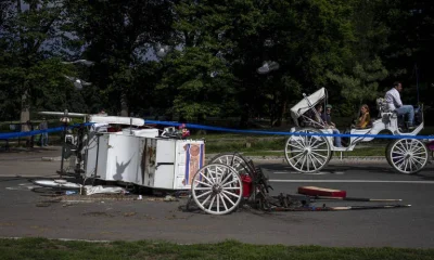 Turista indiano morre após queda de carruagem no Central Park e passeios são suspensos