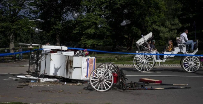 Turista indiano morre após queda de carruagem no Central Park e passeios são suspensos