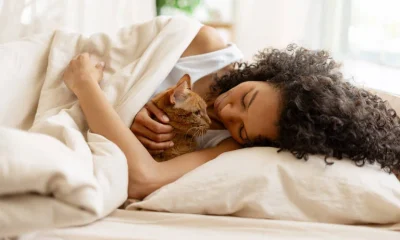 Dormir com seu pet: saiba os riscos e benefícios para sua saúde e sono