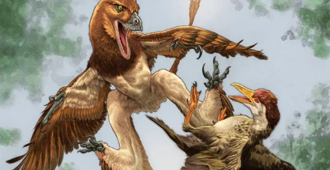 Descoberto fóssil de dinossauro emplumado que podia planar, parente próximo do Velociraptor