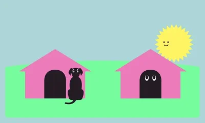 Extrovertido ou Introvertido: Entenda as Diferenças e o Que Podemos Aprender Uns com os Outros