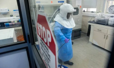 Origem do surto de Ebola em 2018 na RDC permanece um enigma científico
