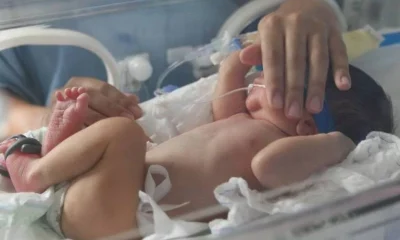 Vacina para gestantes reduz casos de bronquiolite em bebês, aponta estudo