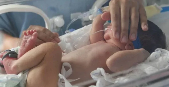 Vacina para gestantes reduz casos de bronquiolite em bebês, aponta estudo Vacina para gestantes reduz casos de bronquiolite em bebês, aponta estudo