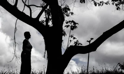 Estudo revela que 57,5% dos medicamentos judicializados já deveriam estar no SUS
