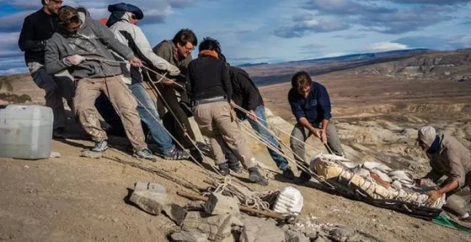 América do Sul vive era de ouro na caça a fósseis de dinossauros América do Sul vive era de ouro na caça a fósseis de dinossauros
