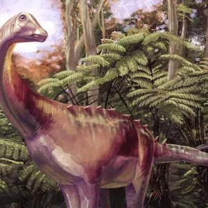 Fóssil esquecido em gaveta por 40 anos revela ser o primeiro dinossauro descoberto na Antártida