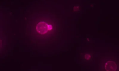 Cientistas criam célula sintética que se alimenta, cresce e se reproduz