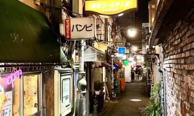 Japão: Lições de Coletivismo e Harmonia com a Natureza
