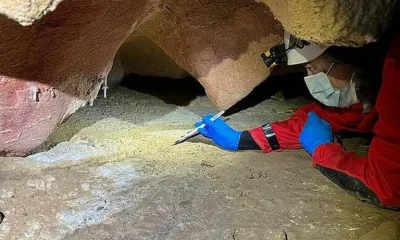 DNA Humano de 2.000 Anos é Encontrado em Paredes de Cavernas na Espanha e Portugal