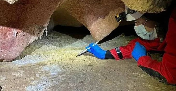 DNA Humano de 2.000 Anos é Encontrado em Paredes de Cavernas na Espanha e Portugal