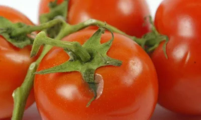Licopeno: Além do tomate, antioxidante poderoso é encontrado em frutas cítricas