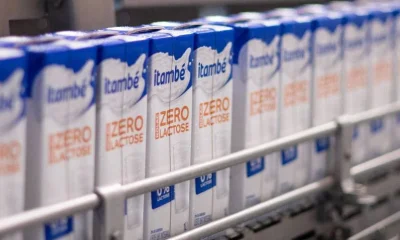 Desconforto com leite: nem sempre é intolerância à lactose; entenda as diferenças