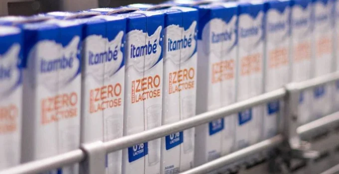 Desconforto com leite: nem sempre é intolerância à lactose; entenda as diferenças