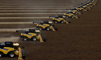 Brasil consolida liderança no agronegócio global até 2035, aponta relatório
