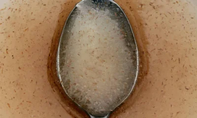 Psyllium: O que a ciência diz sobre seus benefícios para digestão e colesterol