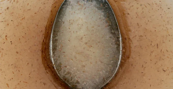 Psyllium: O que a ciência diz sobre seus benefícios para digestão e colesterol