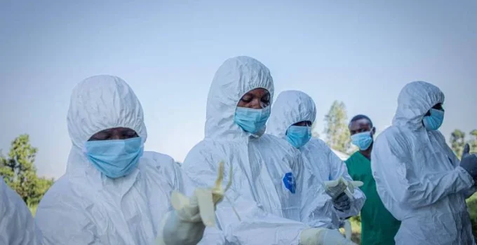 Oxford inicia testes em humanos de vacina contra nova cepa do ebola