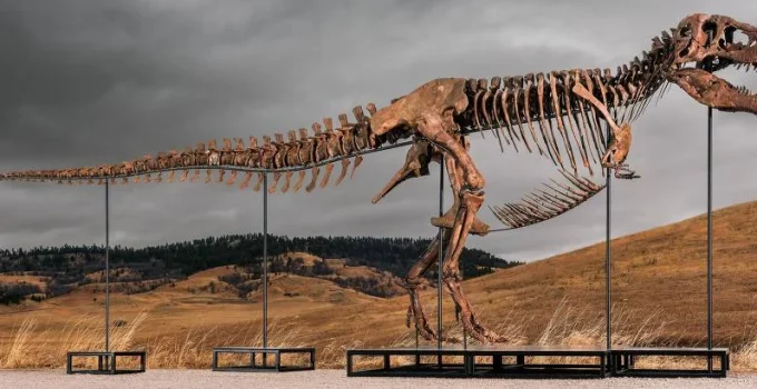 Fóssil de Tiranossauro Rex é Vendido por R$ 256 Milhões em Leilão da Sotheby’s Fóssil de Tiranossauro Rex é Vendido por R$ 256 Milhões em Leilão da Sotheby's