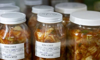 Ciência investiga benefícios de alimentos fermentados para a saúde intestinal