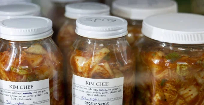 Ciência investiga benefícios de alimentos fermentados para a saúde intestinal