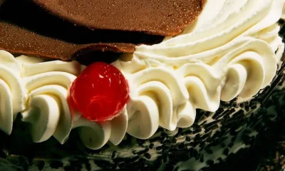 Alimentos ultraprocessados e a saúde intestinal: estudo revela conexão preocupante