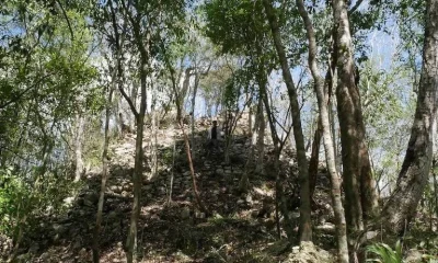 Ruínas Maias Intocadas Revelam Segredos de um Período Turbulento no México