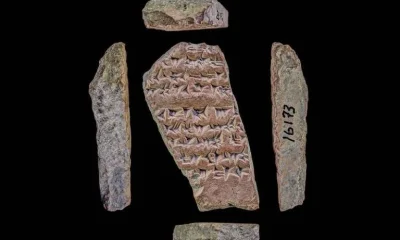 Diversidade linguística global pode ter atingido pico há 3.000 anos, sugere estudo