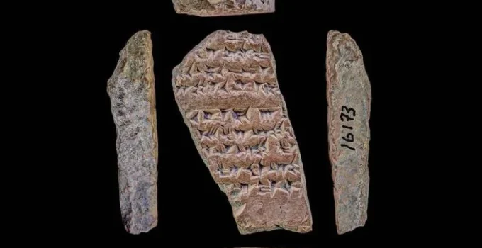 Diversidade linguística global pode ter atingido pico há 3.000 anos, sugere estudo