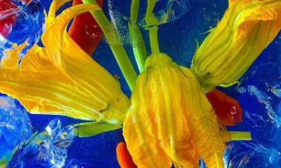 Flores Comestíveis: O Sabor Secreto Escondido no Seu Jardim